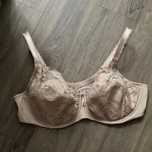 Wacoal lace cup bra 40D
